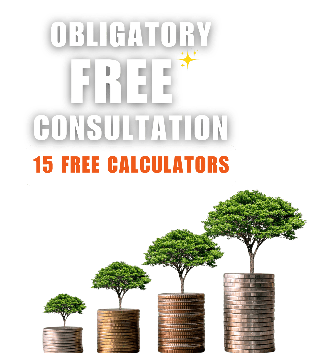 Free non-obligatory consultation offer
